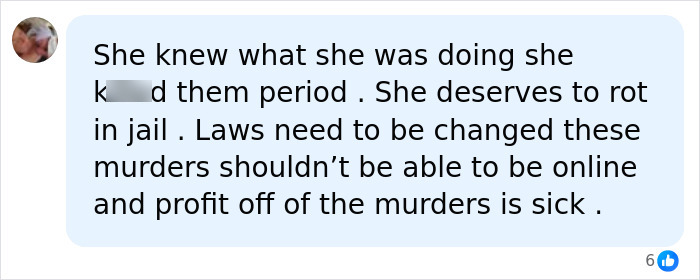 Comment accusing Mackenzie Shirilla of intentional k*****g sparking alarm in crash response