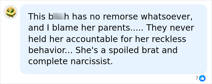 Social media comment criticizing Mackenzie Shirilla's behavior after crash