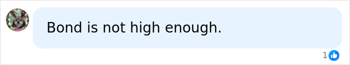 Opinion that bond is too low for 22 year-old college grad shooter
