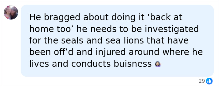 "Arrogant" Tourist Who Threw Rock At Endangered Seal Justifies Attack With Noble Reason