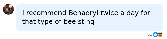 Chat message recommending Benadryl for bee sting related to lip filler effects