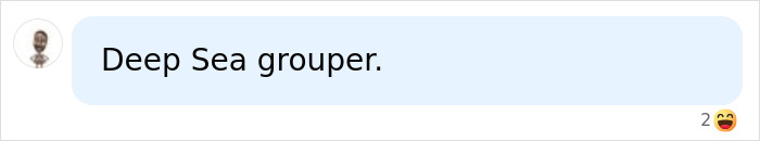 Comment mentions deep sea grouper related to lip filler effects