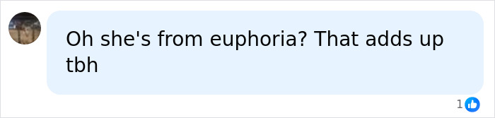 Comment linking Chloe Cherry to Euphoria and lip fillers