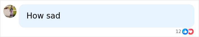 Comment expressing sadness over repeated lip filler effects