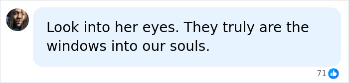 Comment on Mackenzie Shirilla's eyes as windows to the soul