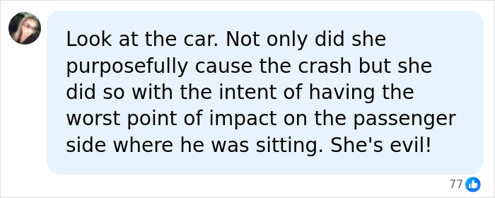 Comment accusing Mackenzie Shirilla of causing crash with intent to harm passenger side