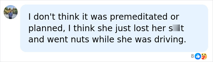 Comment doubting premeditation in Mackenzie Shirilla crash response