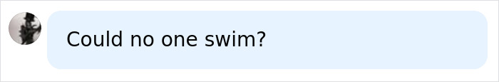 A profile picture and a text bubble with "Could no one swim?". This relates to the Bayesian Superyacht sinking event.