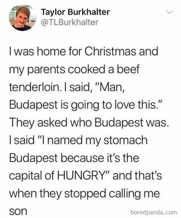 Funny meme about naming stomach Budapest as it's the capital of hungry