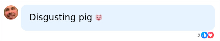 A person's profile picture with the text Disgusting pig and pig emoji, relevant to Female World Cup Soccer crimes.