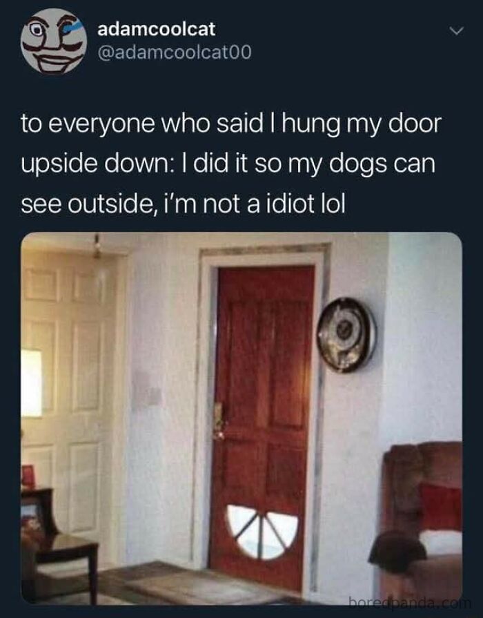 Meme about hanging door upside down so dogs can see outside