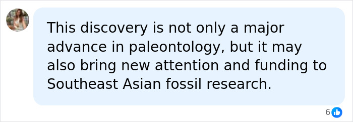 Giant Dinosaur Skeleton Found In Thailand, The Nagatitan, May Be The Largest Dinosaur Of The Region
