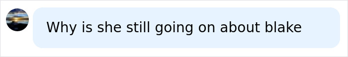 A text message bubble from a user, questioning a reporter's continued focus on Blake Lively, fearing a blacklisted interview.