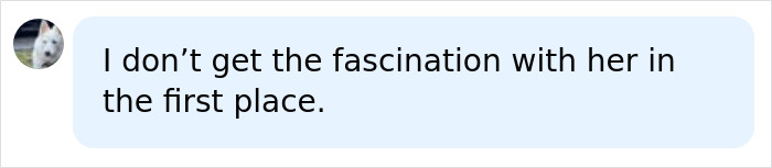 A message bubble saying "I don't get the fascination with her in the first place." with a profile picture of a white dog, relating to the Blake Lively interview.