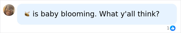 A message bubble with a bee emoji and the text is baby blooming. What y'all think?, relating to Beyonc&eacute;.