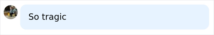 Comment describing incident as tragic