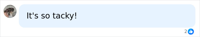 A blurred profile picture next to a message bubble saying It's so tacky! with two likes, possibly relating to Kim Kardashian's Met Gala wardrobe.
