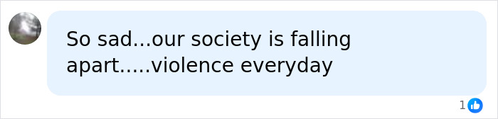 Comment expressing sadness over society falling apart and everyday violence after Chris Watts case
