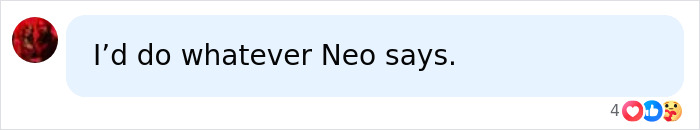 Comment expressing trust in Neo, referencing Keanu Reeves Comment expressing trust in Neo, referencing Keanu Reeves