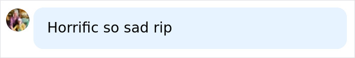 Comment expressing horror and sadness about Chris Watts case