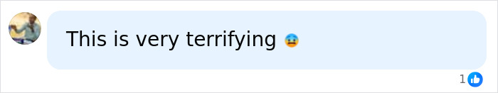 Comment describing Chris Watts case as terrifying