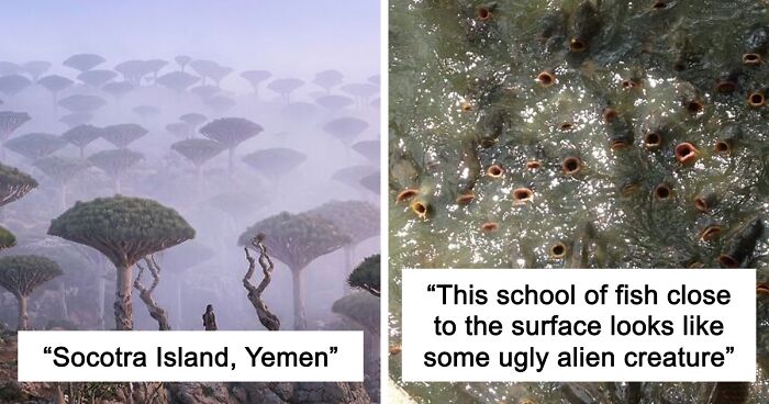 58 Unbelievable Photos Taken On Earth That Feel Like Glimpses Into Another Universe