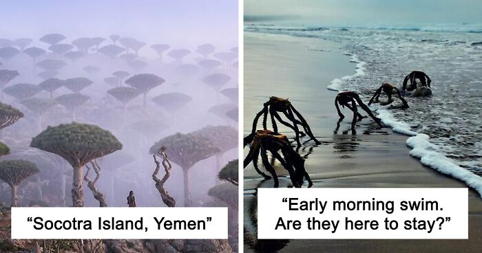 58 Unbelievable Photos Taken On Earth That Feel Like Glimpses Into Another Universe