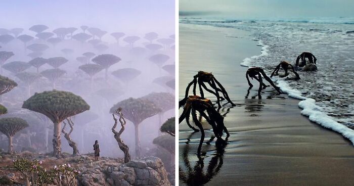 58 Unbelievable Photos Taken On Earth That Feel Like Glimpses Into Another Universe