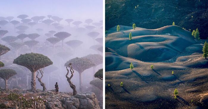 58 Unbelievable Photos Taken On Earth That Feel Like Glimpses Into Another Universe