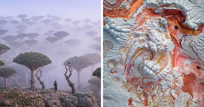 58 Unbelievable Photos Taken On Earth That Feel Like Glimpses Into Another Universe