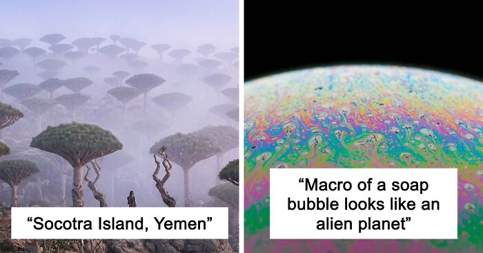 58 Unbelievable Photos Taken On Earth That Feel Like Glimpses Into Another Universe