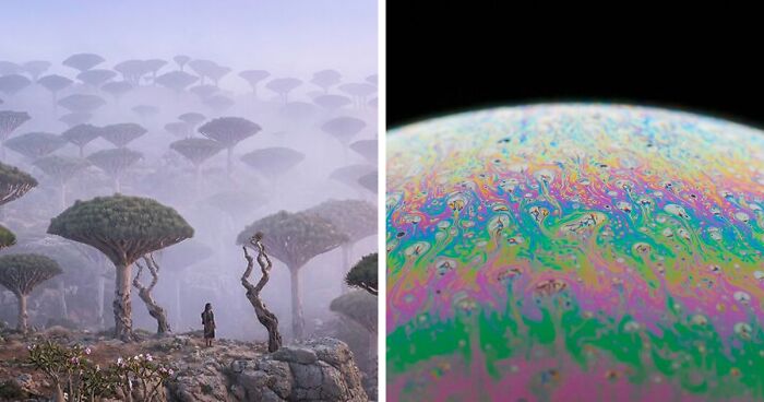58 Unbelievable Photos Taken On Earth That Feel Like Glimpses Into Another Universe