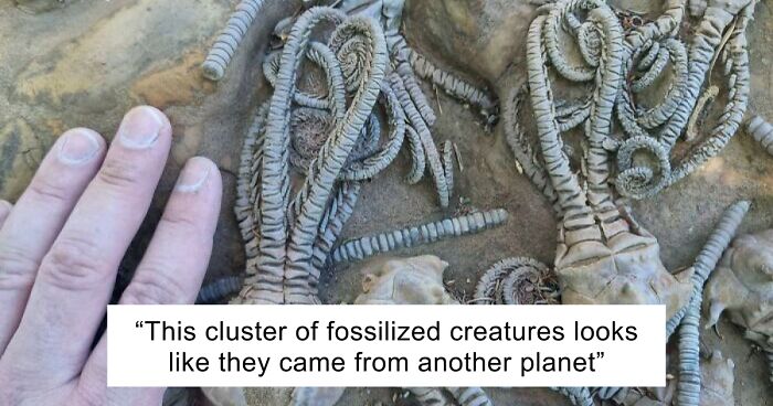 58 Unbelievable Photos Taken On Earth That Feel Like Glimpses Into Another Universe