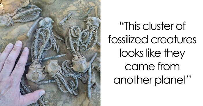 58 Unbelievable Photos Taken On Earth That Feel Like Glimpses Into Another Universe