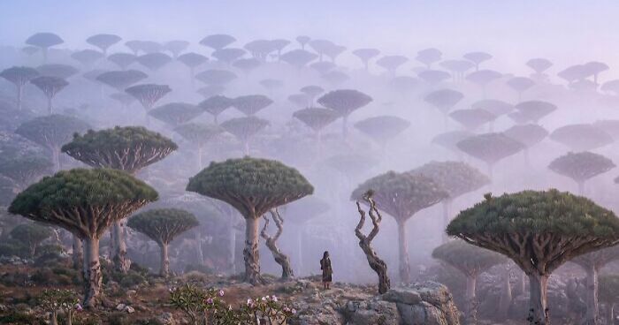58 Unbelievable Photos Taken On Earth That Feel Like Glimpses Into Another Universe