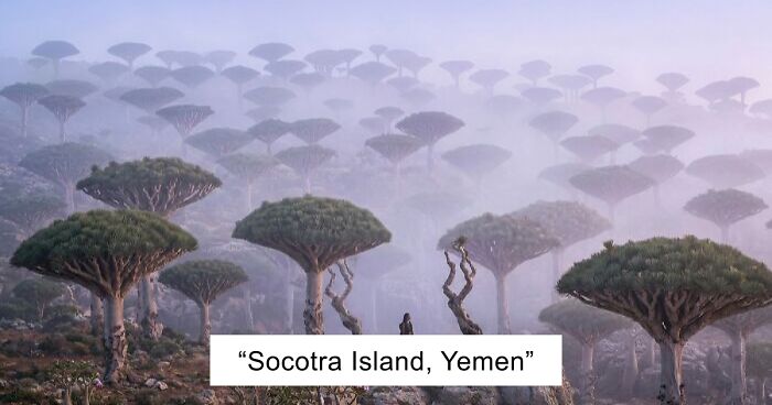 58 Unbelievable Photos Taken On Earth That Feel Like Glimpses Into Another Universe