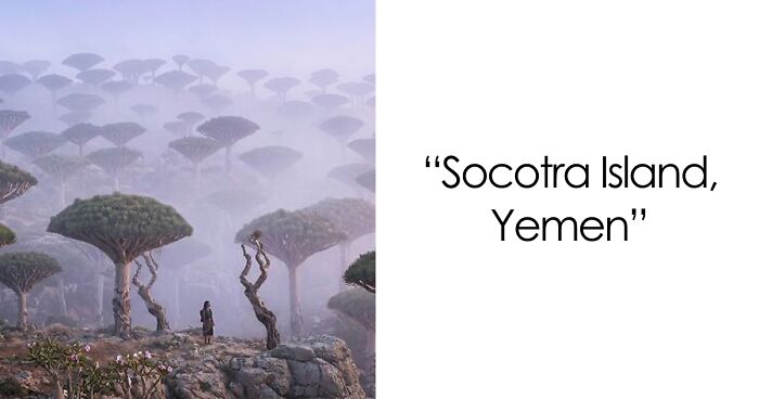 58 Unbelievable Photos Taken On Earth That Feel Like Glimpses Into Another Universe