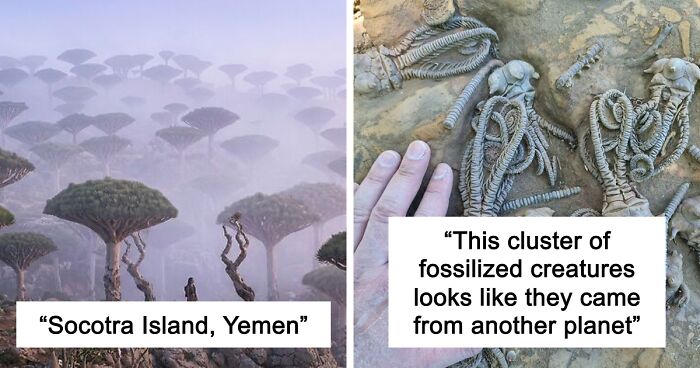 58 Unbelievable Photos Taken On Earth That Feel Like Glimpses Into Another Universe