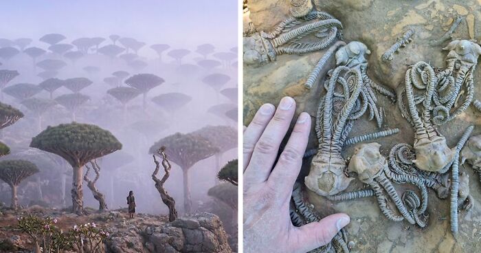 58 Unbelievable Photos Taken On Earth That Feel Like Glimpses Into Another Universe