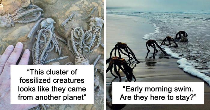 58 Unbelievable Photos Taken On Earth That Feel Like Glimpses Into Another Universe