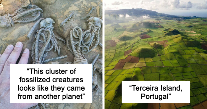 58 Unbelievable Photos Taken On Earth That Feel Like Glimpses Into Another Universe