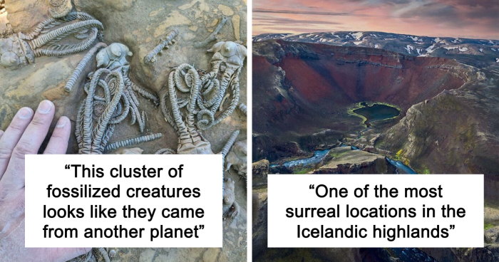 58 Unbelievable Photos Taken On Earth That Feel Like Glimpses Into Another Universe