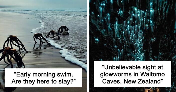 58 Unbelievable Photos Taken On Earth That Feel Like Glimpses Into Another Universe