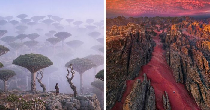 58 Unbelievable Photos Taken On Earth That Feel Like Glimpses Into Another Universe
