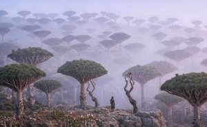 58 Photos That Look Like They Couldn’t Have Been Taken On Earth But They Were
