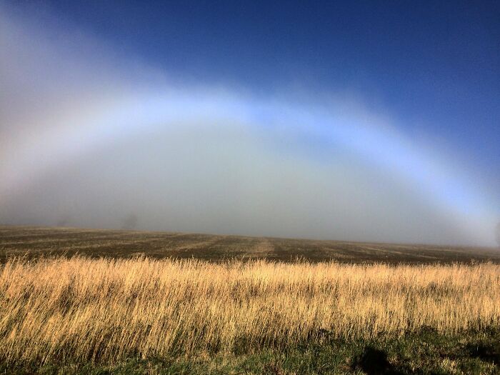 Fogbow over grass field captured in rare moments photo