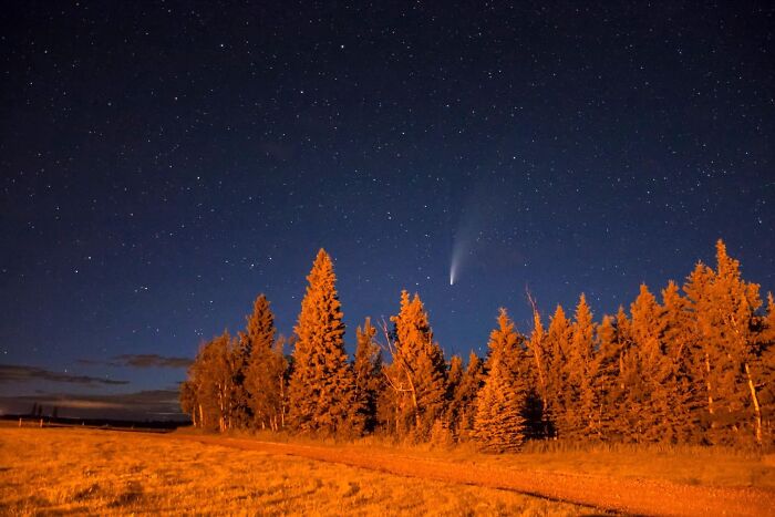 Night sky with comet above forest during rare natural moment