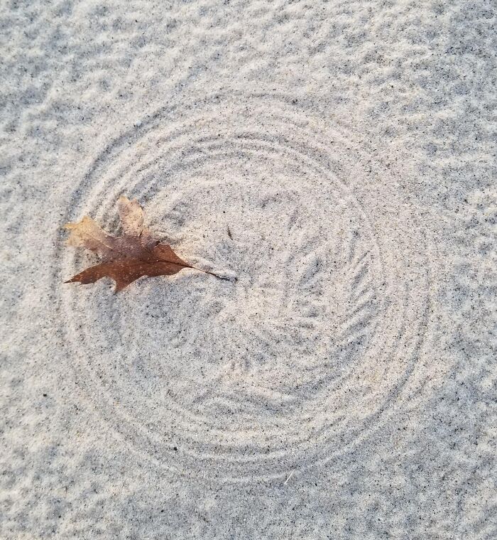 Leaf on sand creating rare circular pattern around it