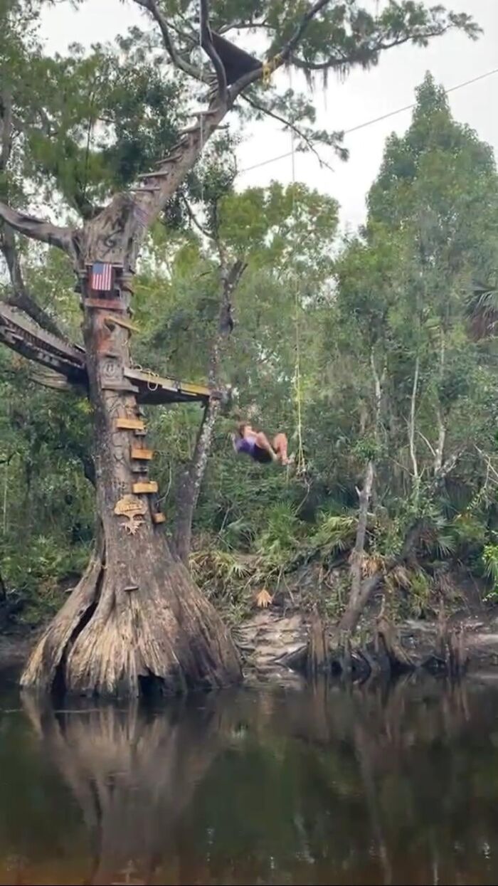 Person swinging from a tree rope swing over a river among forest