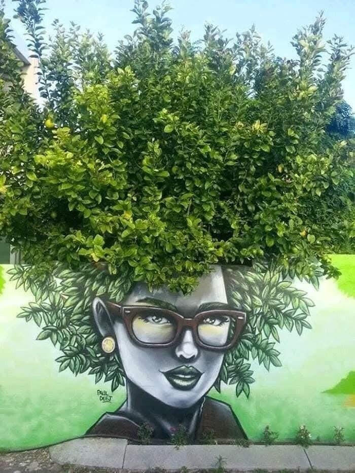This Page With Nearly 5 Million Followers Shows What Happens When Street Artists Let Nature Finish Their Work (30 Pics)